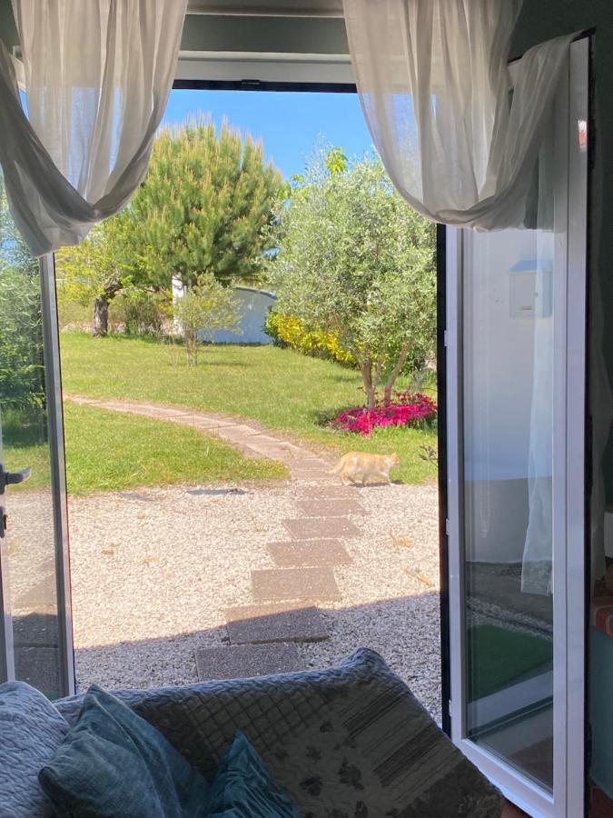 בית הארחה Quinta de Cavaleiros 	A Quinta Da Estrelinha מראה חיצוני תמונה